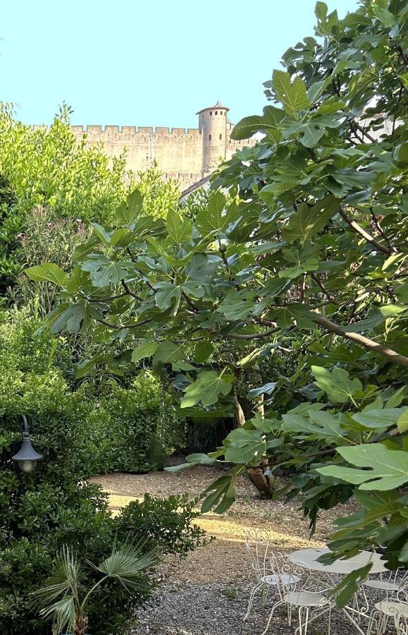 La Villa Carcassonne, Cite 8 Min A Pieds, Clim, Piscine, Full Wifi, Borne 7,5Kw, Velo Elect, Parking Prive Exterior foto